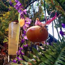 Plum Island Iced Tea cocktail